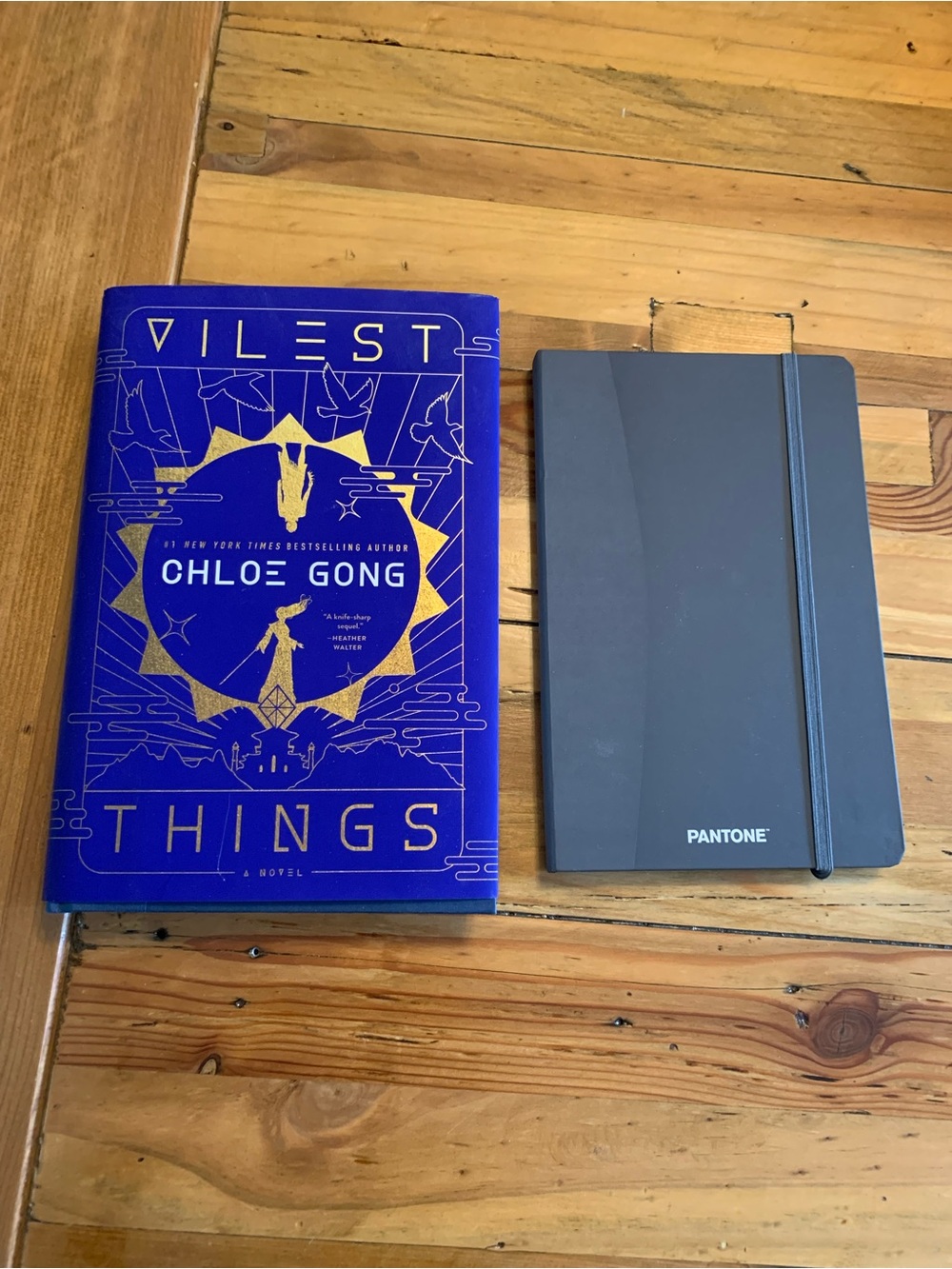 Gray Hardcover Notebook – Slate Gray & Things a Novel by Chloe Gong